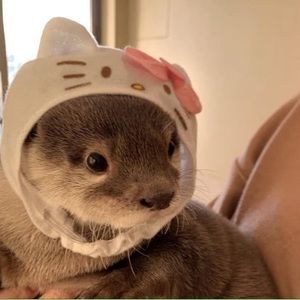 Meet your Posher, Minako